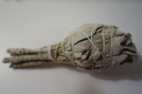 Vorschau: plantaroma Salbeiminis weiss 16g Vorschau: plantaroma Salbeiminis weiss 16g